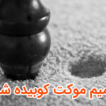 آیا موکت کوبیده شده قابل ترمیم است یا خیر؟