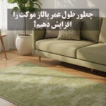 چطور طول عمر پالاز موکت را افزایش دهیم؟
